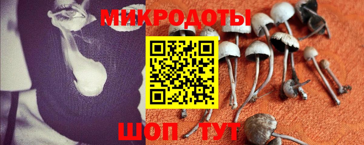 Ярцево  Псилоцибиновые грибы Psilocybe  цены   Галлюциногенные грибы мицелий  Вход с VPN 